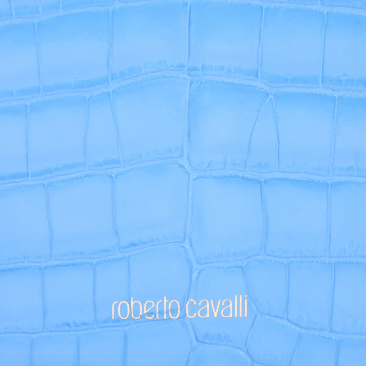 Roberto Cavalli Medium Roar Bag | Thumbnail 4 Roberto Cavalli Medium Roar Bag | Thumbnail 4