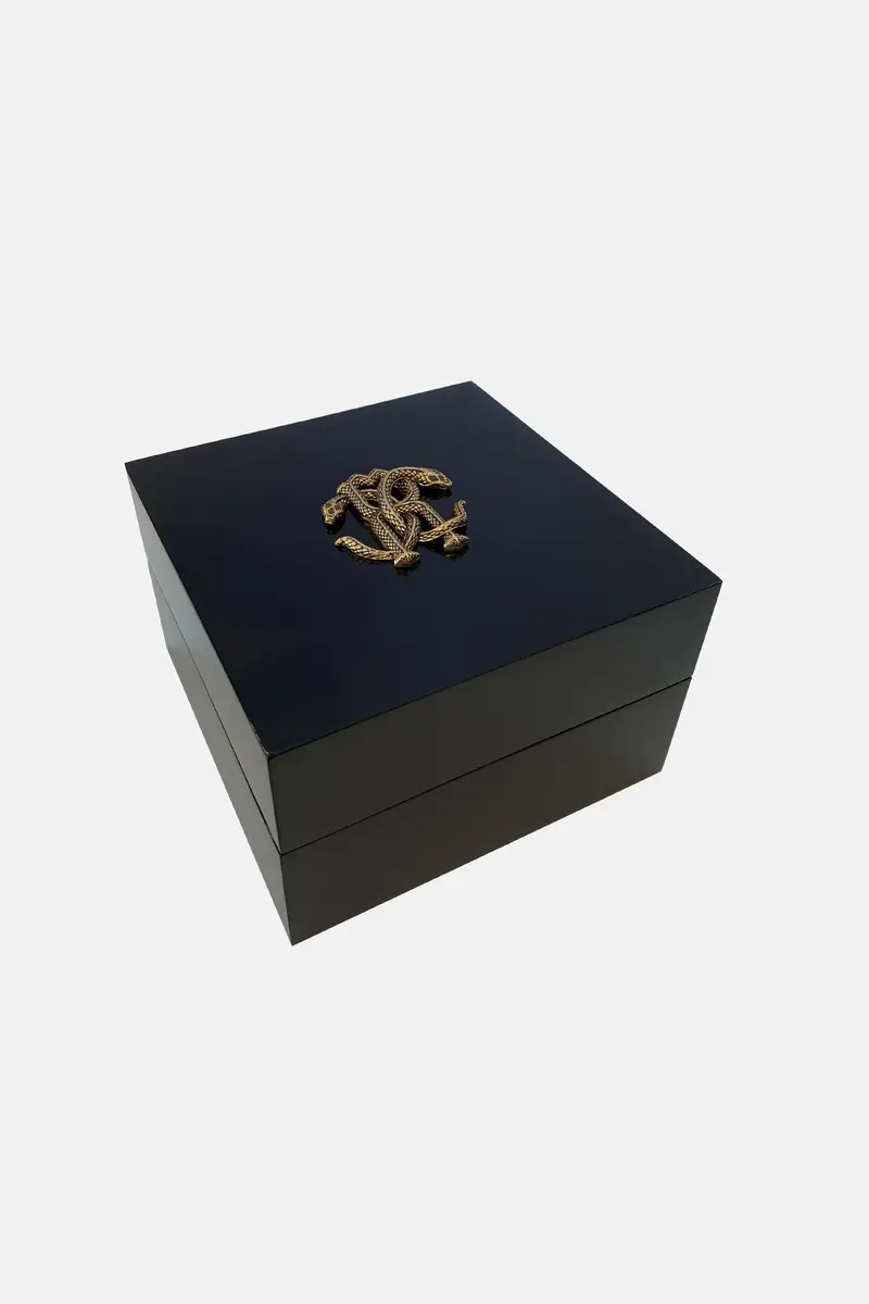 Roberto Cavalli Roberto Cavalli by Franck Muller Logo watch | Thumbnail 4