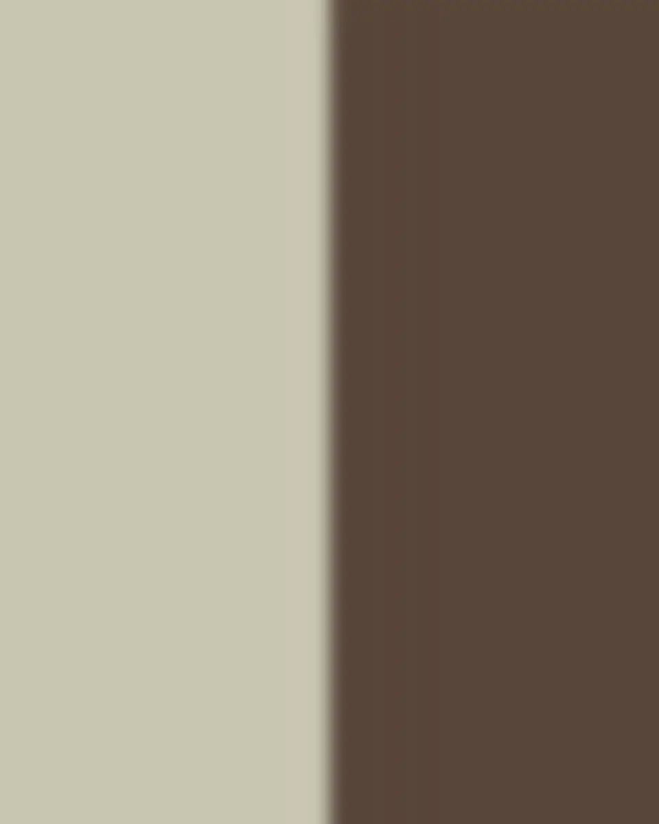 MacKenzie-Childs Courtly Check Ceramic Globe Canister | Thumbnail 3 MacKenzie-Childs Courtly Check Ceramic Globe Canister | Thumbnail 3