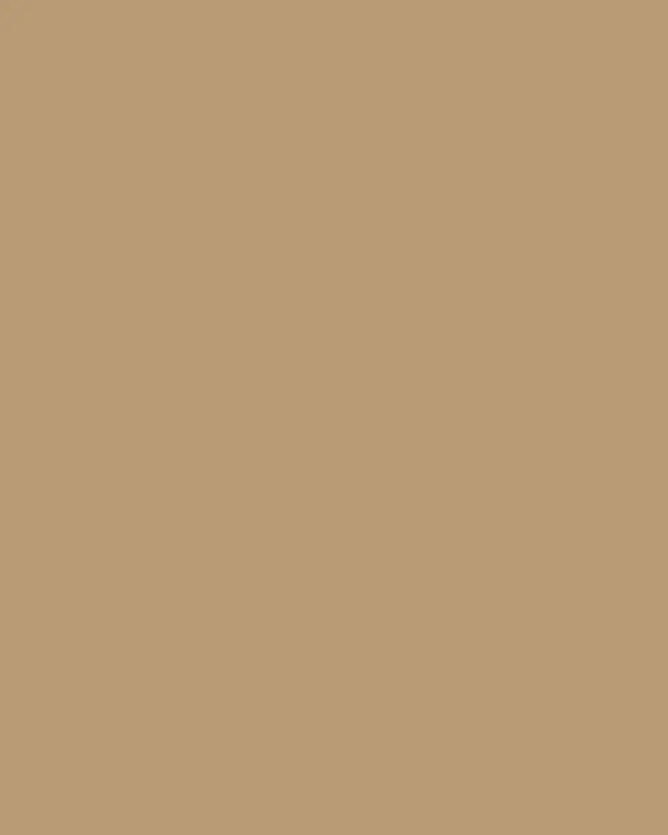 Victoria Beckham Dorian Frame Belt in Shiny Leather | Thumbnail 4 Victoria Beckham Dorian Frame Belt in Shiny Leather | Thumbnail 4