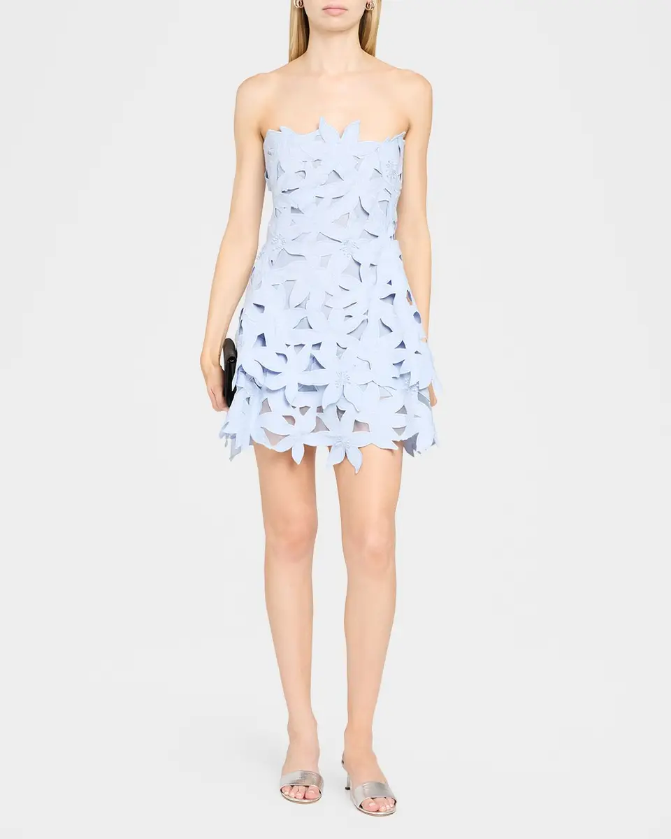 Simkhai Miri Floral Embroidered Mini Dress | Thumbnail 2 Simkhai Miri Floral Embroidered Mini Dress | Thumbnail 2