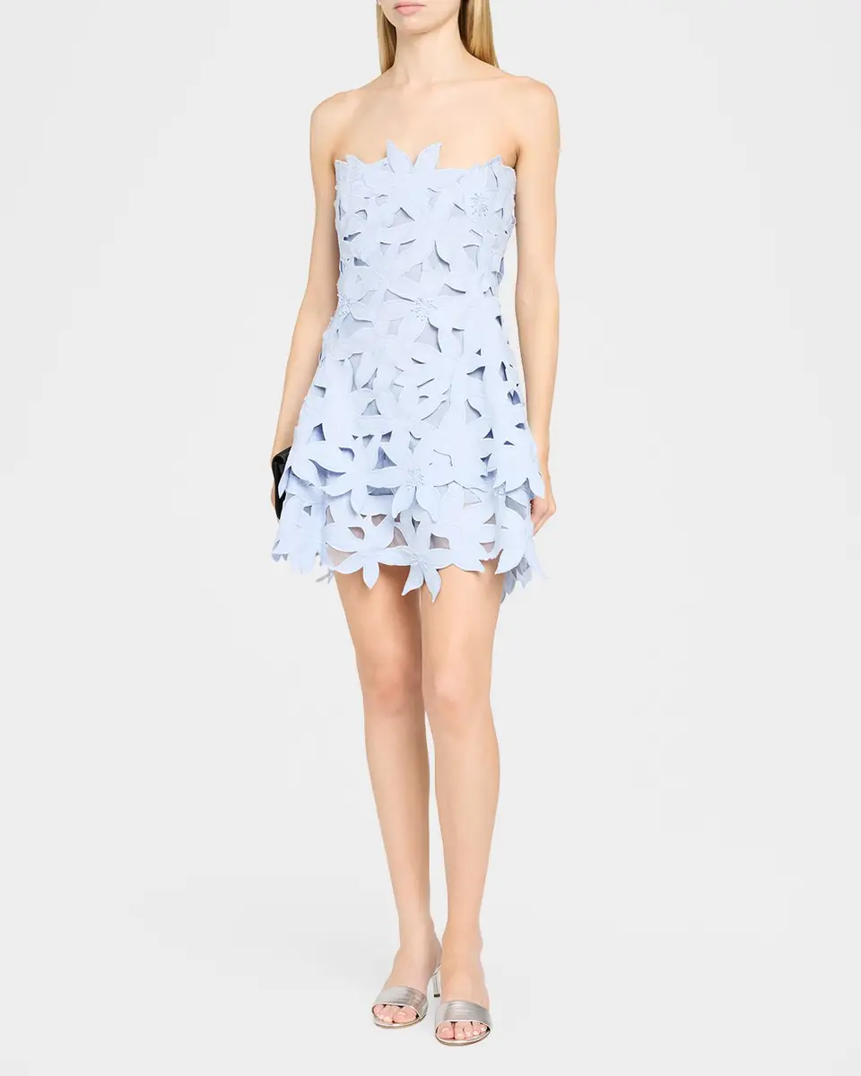 Simkhai Miri Floral Embroidered Mini Dress | Thumbnail 4 Simkhai Miri Floral Embroidered Mini Dress | Thumbnail 4