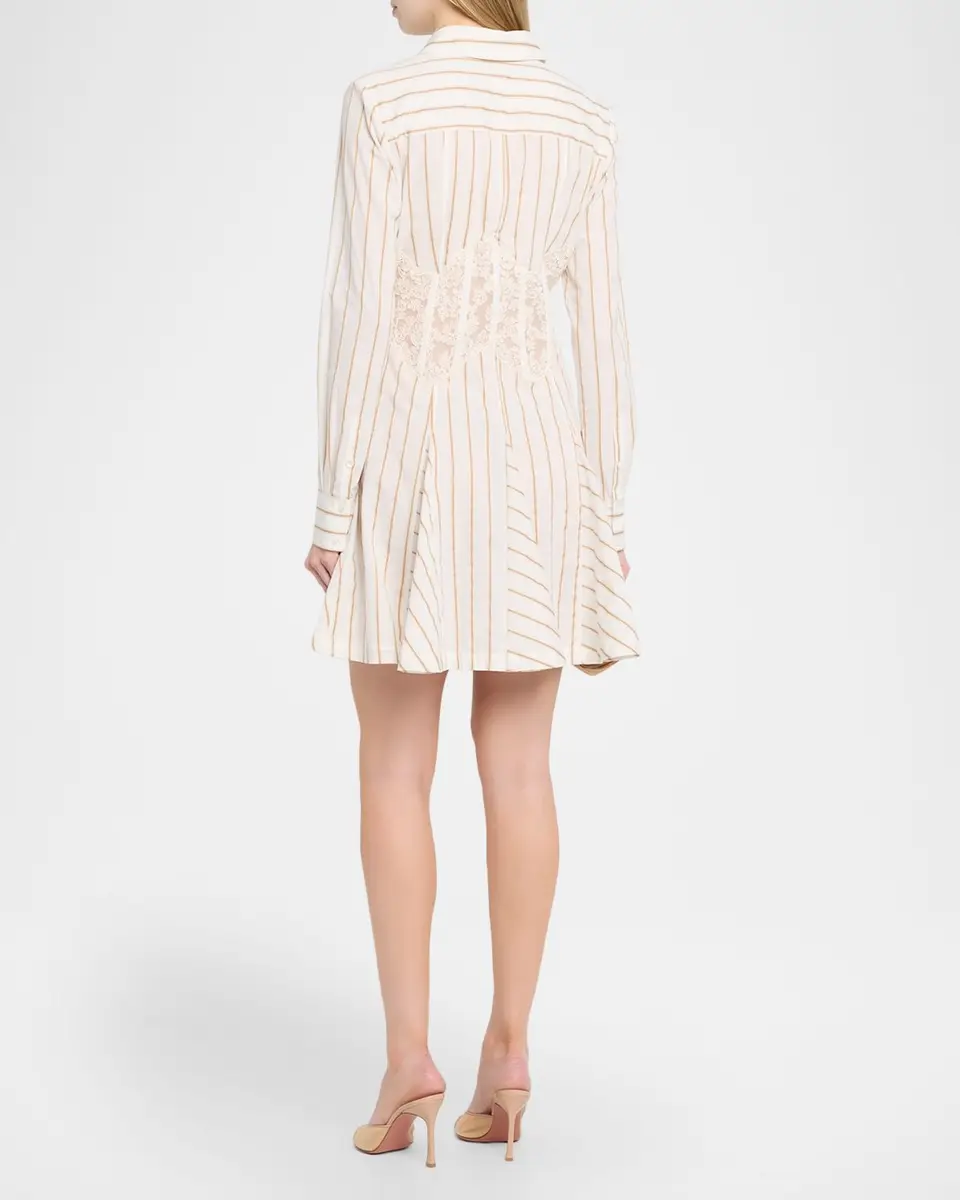 Ramy Brook Wren Striped Lace-Inset Godet Mini Shirtdress | Thumbnail 3