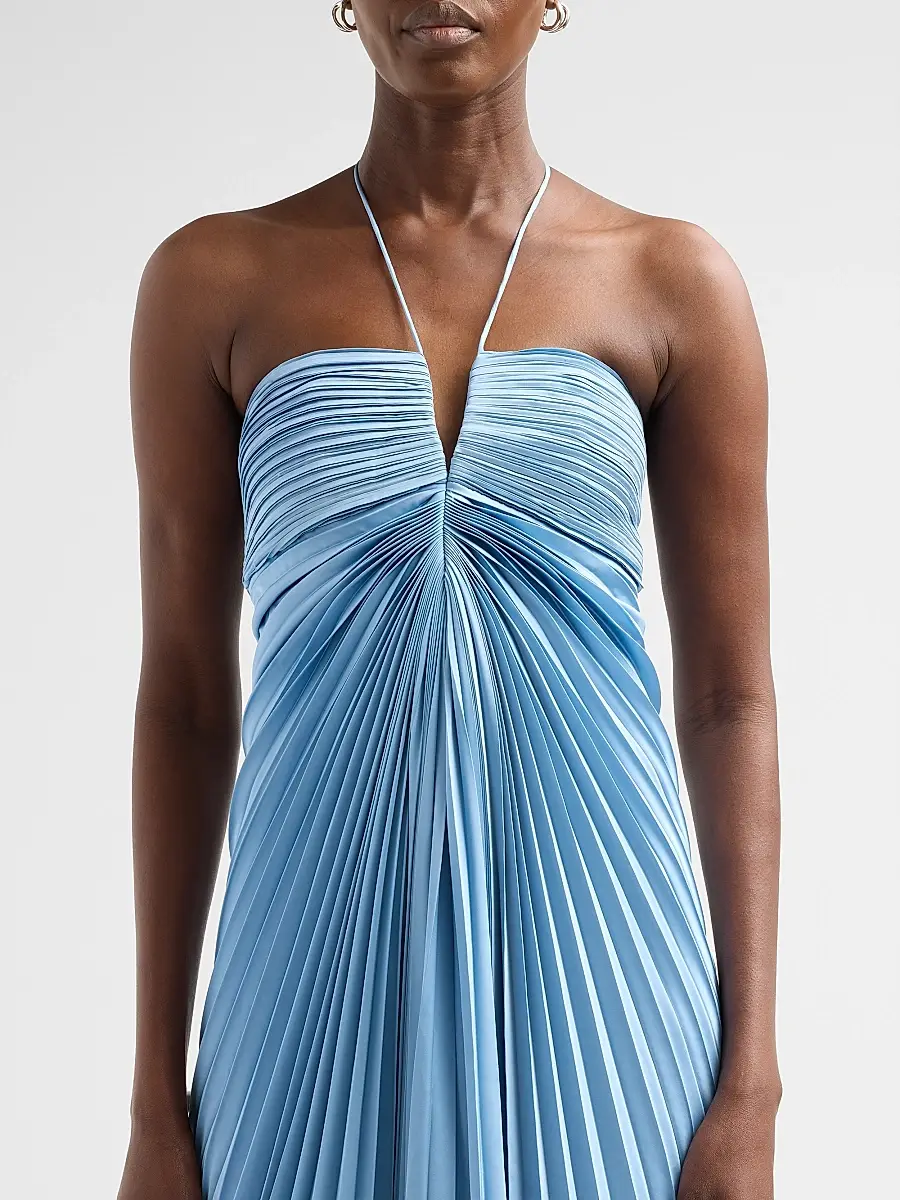 Amur Women's Ionea Pleated Halterneck Gown | Thumbnail 5 Amur Women's Ionea Pleated Halterneck Gown | Thumbnail 5