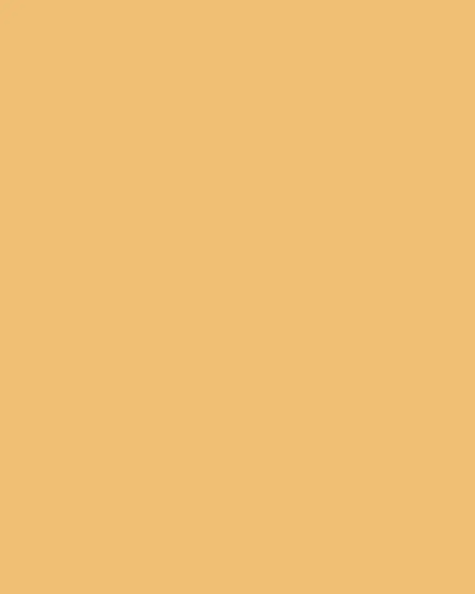 L'Objet Alchimie Coupe Bowl - Large | Thumbnail 3