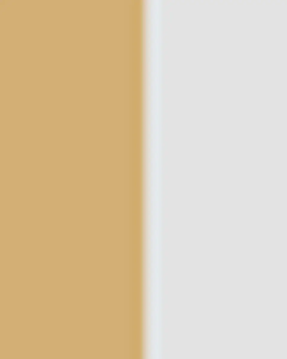 Spinelli Kilcollin Calliope Silver and Gold Ring | Thumbnail 3 Spinelli Kilcollin Calliope Silver and Gold Ring | Thumbnail 3