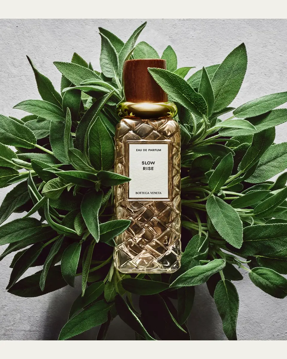 Bottega Veneta Slow Rise Eau de Parfum, 3.4 oz. | Thumbnail 4 Bottega Veneta Slow Rise Eau de Parfum, 3.4 oz. | Thumbnail 4