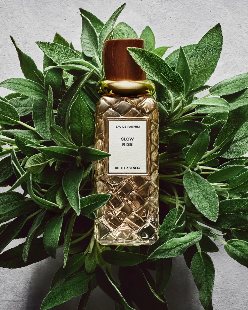 Bottega Veneta Slow Rise Eau de Parfum, 1.7 oz. | Thumbnail 4 Bottega Veneta Slow Rise Eau de Parfum, 1.7 oz. | Thumbnail 4