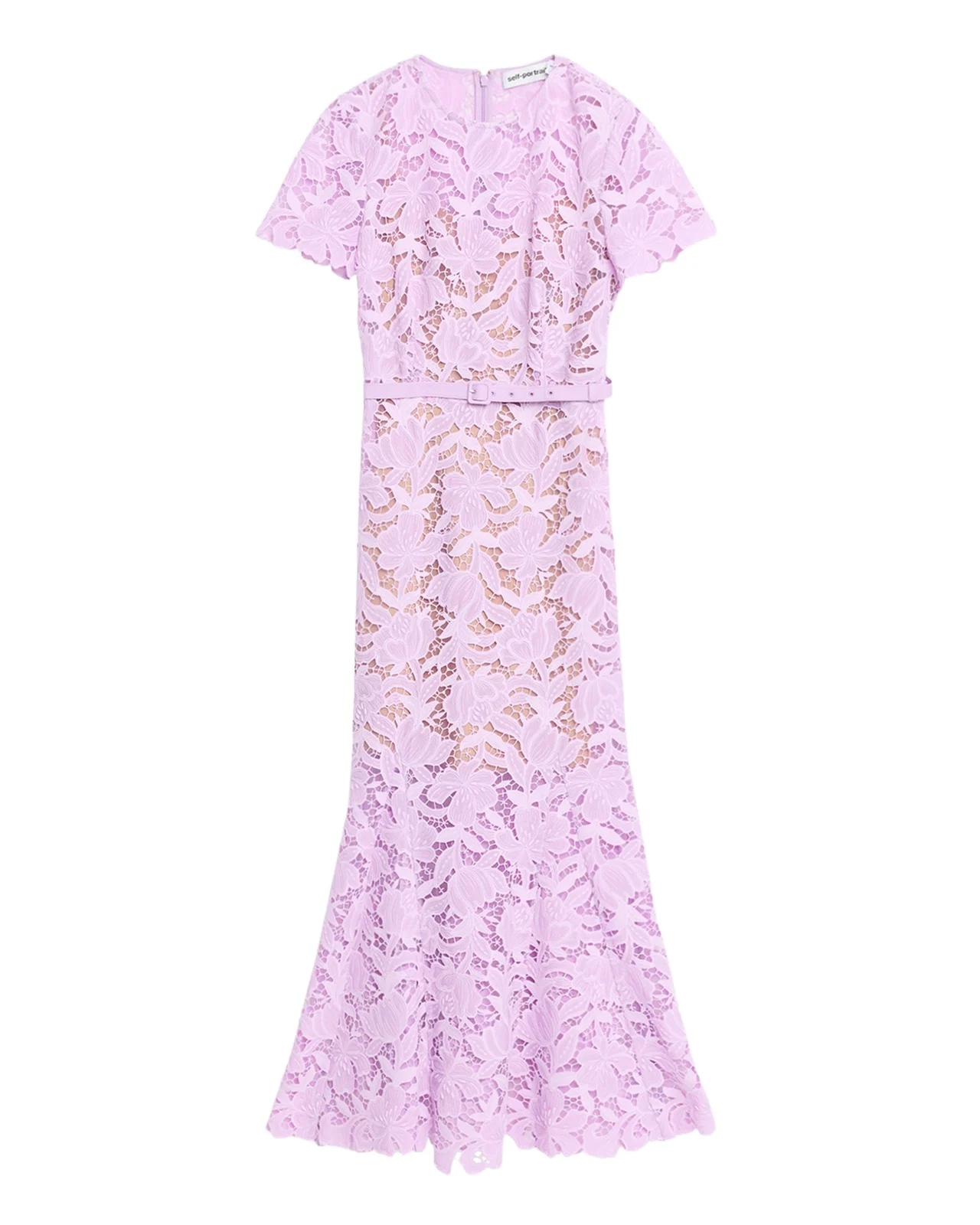 Belted Lace Midi Dress Belted Lace Midi Dress