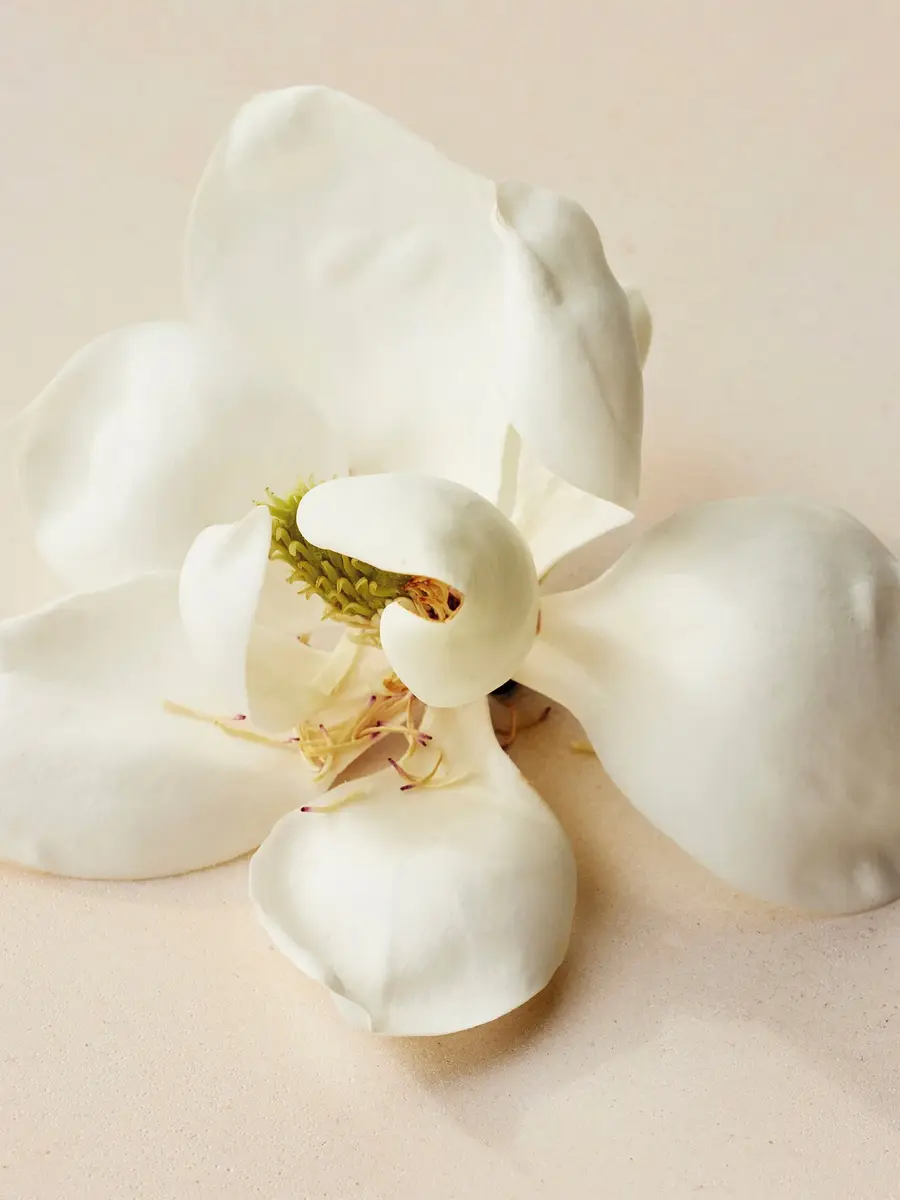 Chloé Atelier des Fleurs | Thumbnail 4 Chloé Atelier des Fleurs | Thumbnail 4