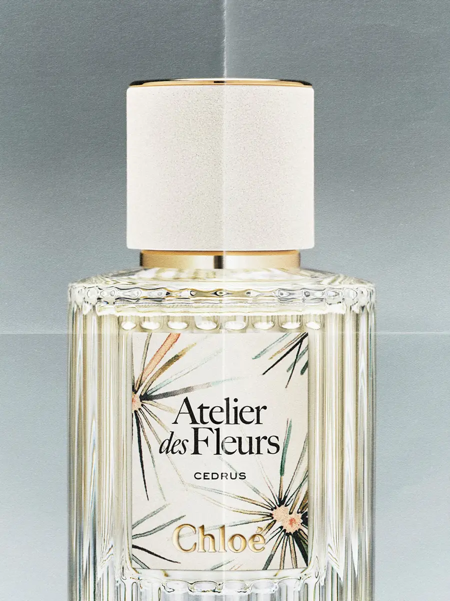 Chloé Limited-Edition Atelier des Fleurs Cedrus Eau de Parfum 1.7 fl oz | Thumbnail 6 Chloé Limited-Edition Atelier des Fleurs Cedrus Eau de Parfum 1.7 fl oz | Thumbnail 6