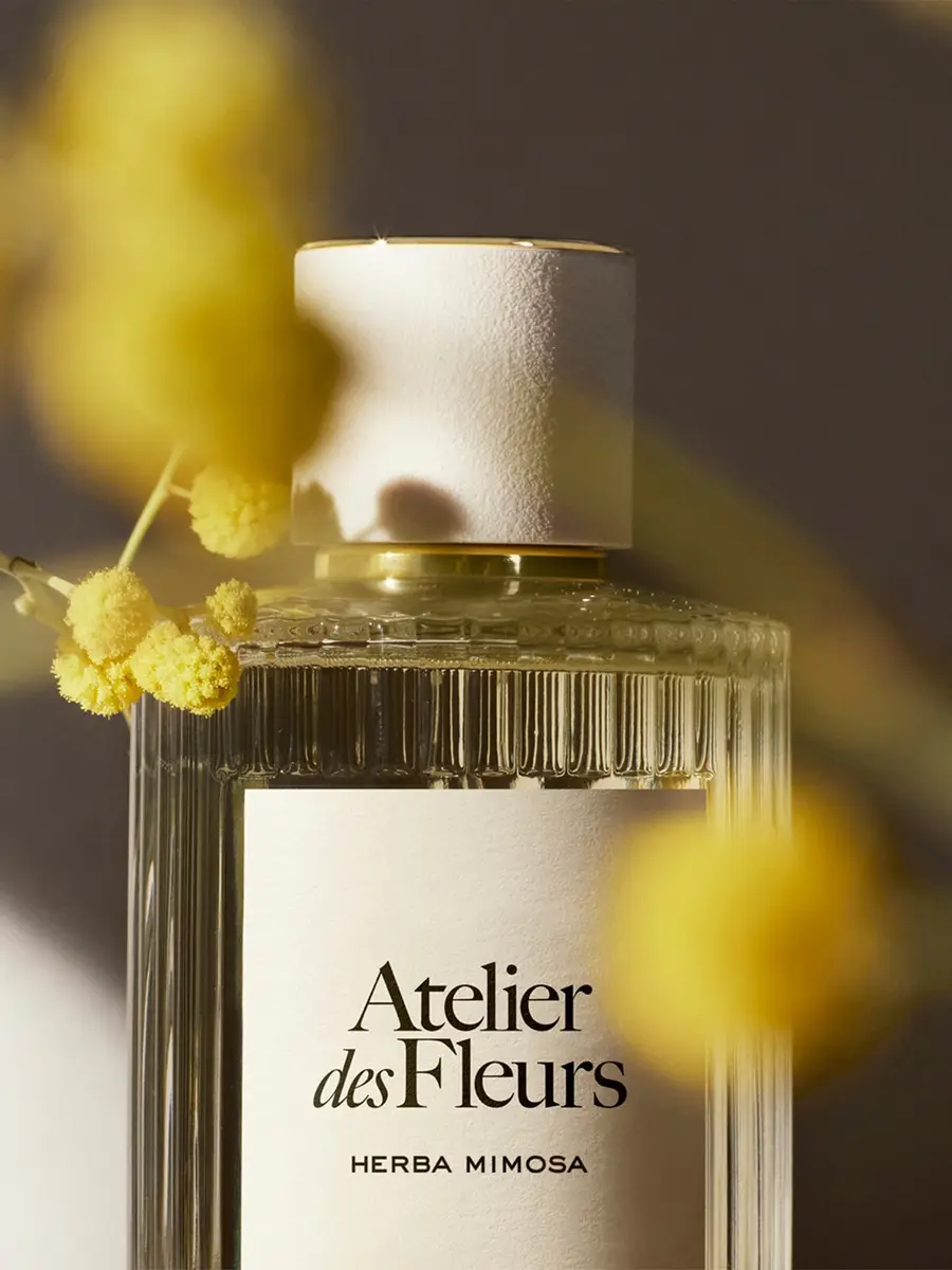 Chloé Atelier des Fleurs Herba Mimosa Eau de Parfum 1.7 fl oz | Thumbnail 4 Chloé Atelier des Fleurs Herba Mimosa Eau de Parfum 1.7 fl oz | Thumbnail 4