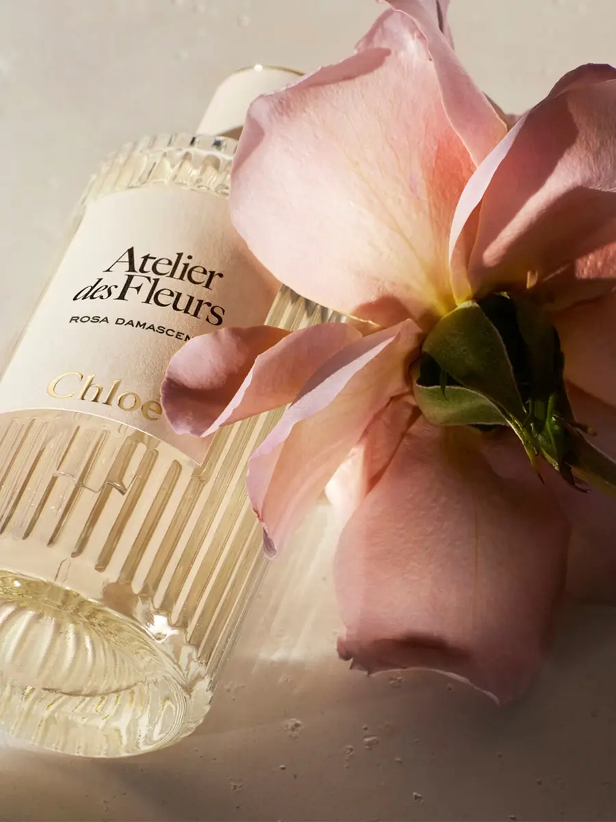 Chloé Atelier des Fleurs Rosa Damascena Eau de Parfum 5.1 fl oz | Thumbnail 5 Chloé Atelier des Fleurs Rosa Damascena Eau de Parfum 5.1 fl oz | Thumbnail 5