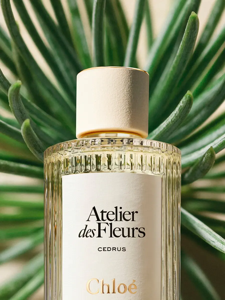 Chloé Atelier des Fleurs Cedrus Eau de Parfum 5.1 fl oz | Thumbnail 4 Chloé Atelier des Fleurs Cedrus Eau de Parfum 5.1 fl oz | Thumbnail 4
