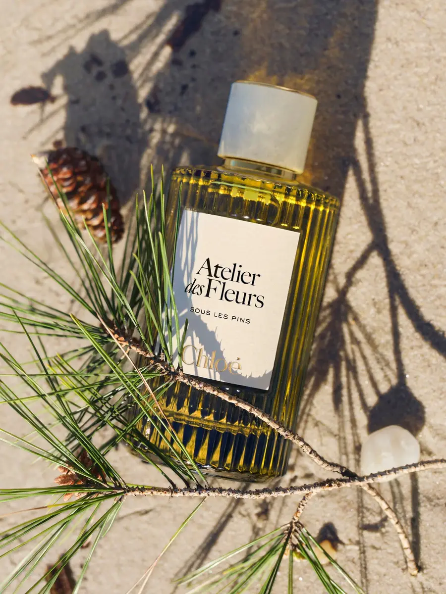 Chloé Atelier des Fleurs Sous les Pins Eau de Parfum 5.1 fl oz | Thumbnail 4 Chloé Atelier des Fleurs Sous les Pins Eau de Parfum 5.1 fl oz | Thumbnail 4