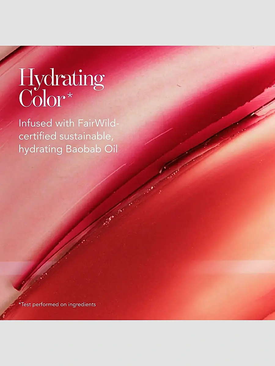 CHANTECAILLE Lip Veil Lipstick | Thumbnail 6 CHANTECAILLE Lip Veil Lipstick | Thumbnail 6