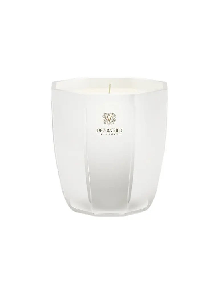 DR. VRANJES FIRENZE Ginger Lime Candle | Image 1 DR. VRANJES FIRENZE Ginger Lime Candle | Image 1