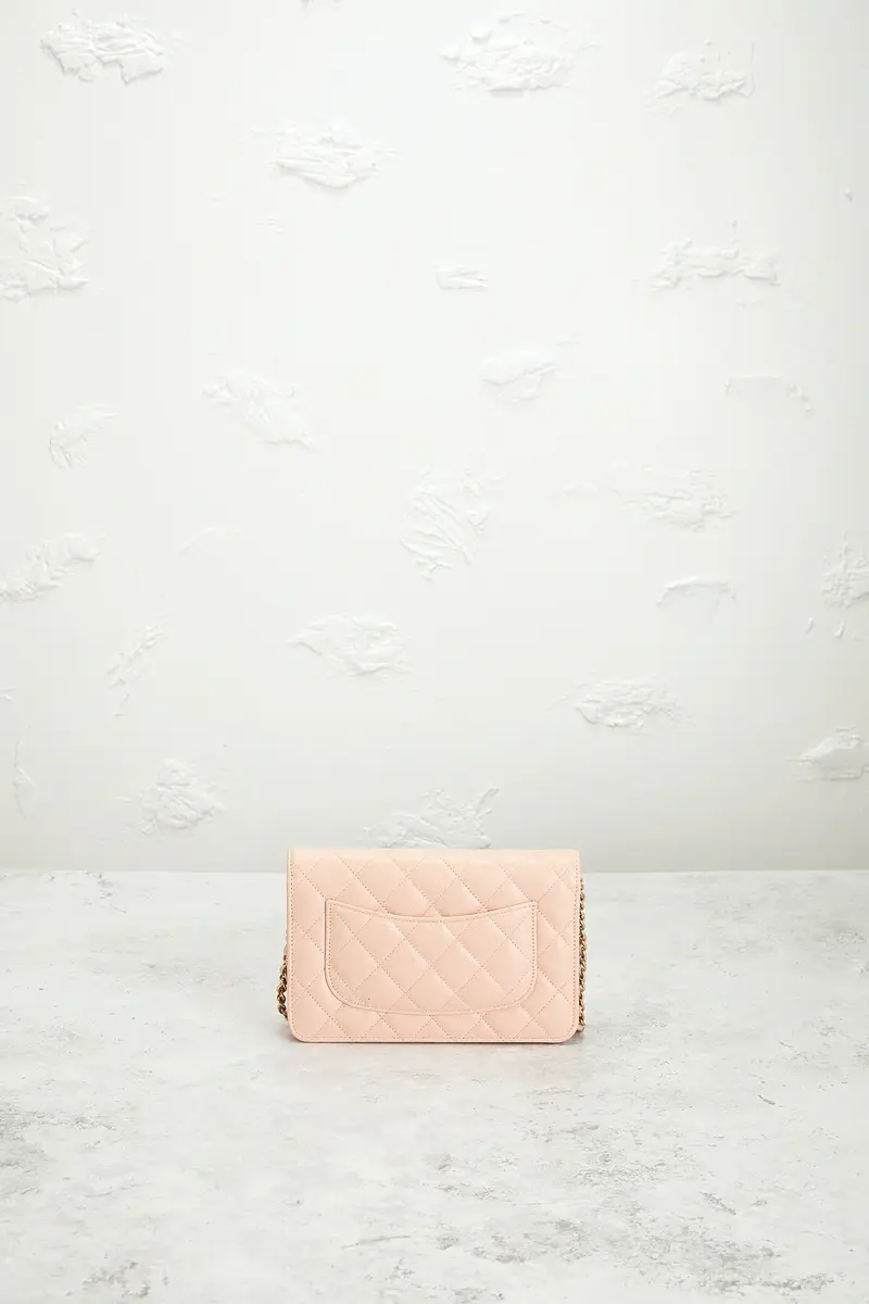 Chanel Chanel Calfskin Classic Wallet On Chain | Thumbnail 3 Chanel Chanel Calfskin Classic Wallet On Chain | Thumbnail 3