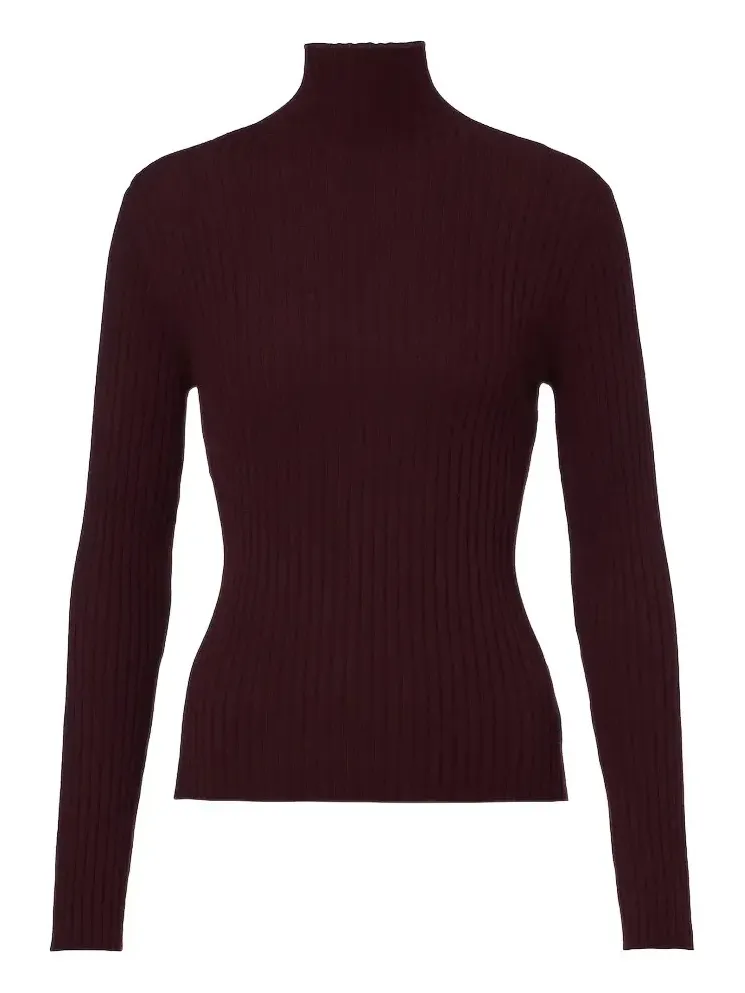 Ariana cashmere turtleneck sweater