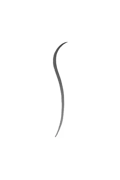 Westman Atelier Bonne Brow Defining Pencil | Thumbnail 4