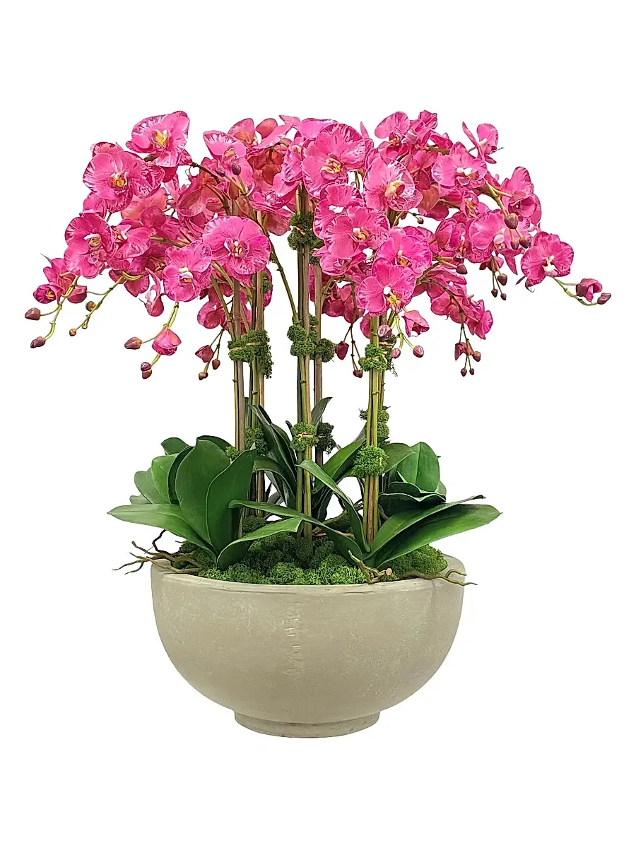 Winward Home Everyday Newness Refresh Faux Orchid Arrangement - Purple White | Image 1 Winward Home Everyday Newness Refresh Faux Orchid Arrangement - Purple White | Image 1
