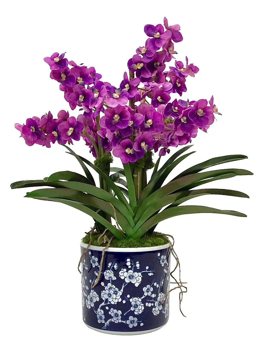 Winward Home Everyday Newness Refresh Faux-Vanda Orchid Arrangement - Lavender Purple | Image 1 Winward Home Everyday Newness Refresh Faux-Vanda Orchid Arrangement - Lavender Purple | Image 1
