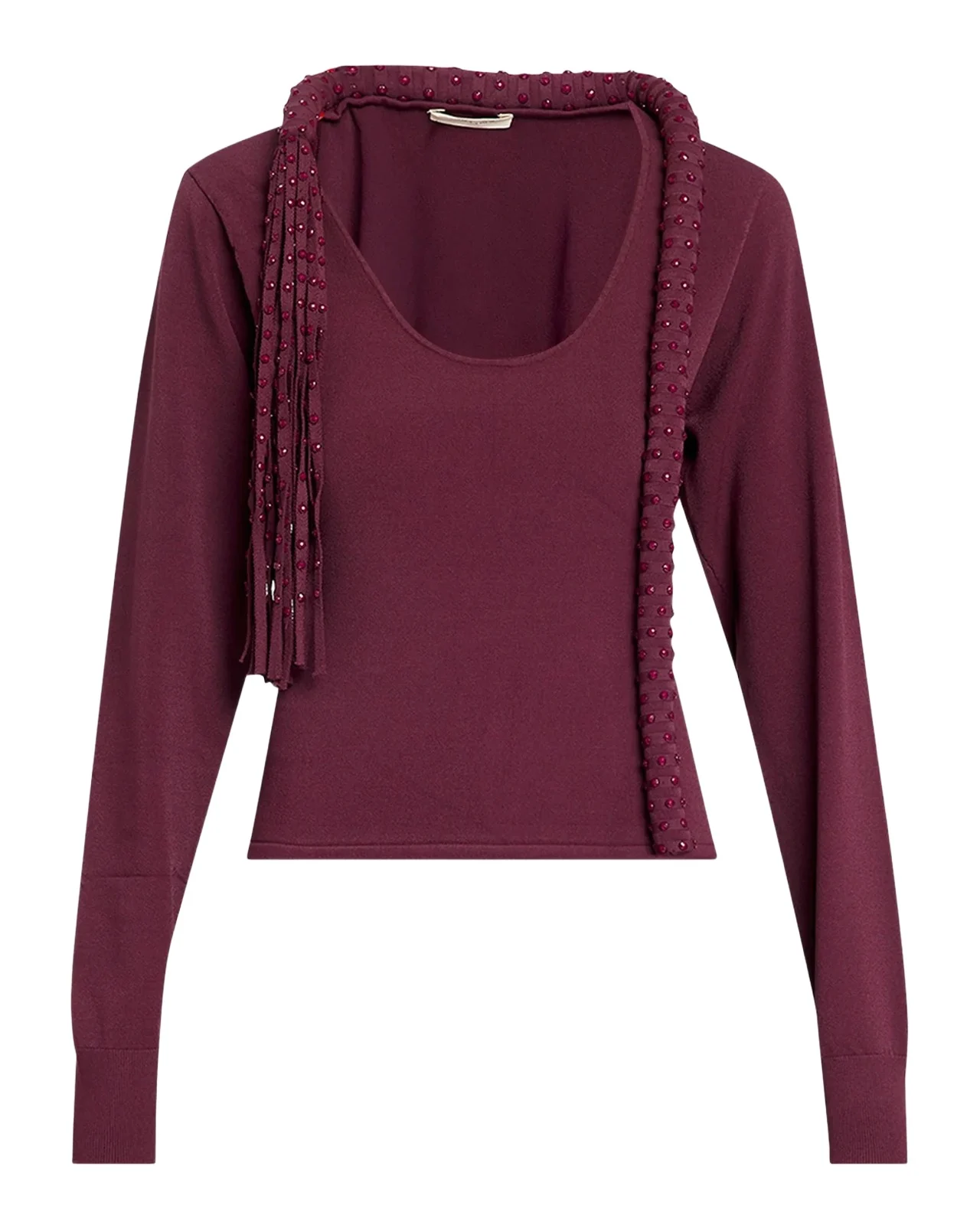 Mane Fringe Embellished Long-Sleeve Top