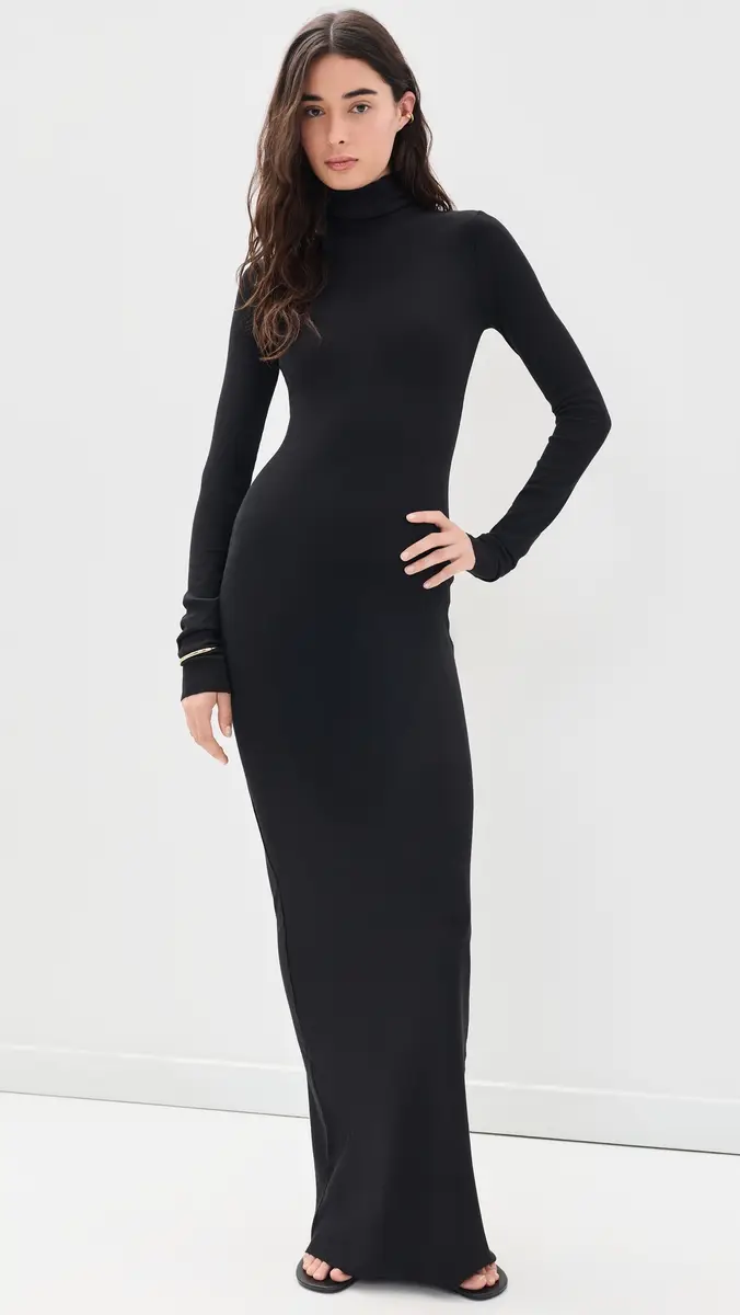 ÉTERNE Long Sleeve Turtleneck Maxi Dress | Thumbnail 2