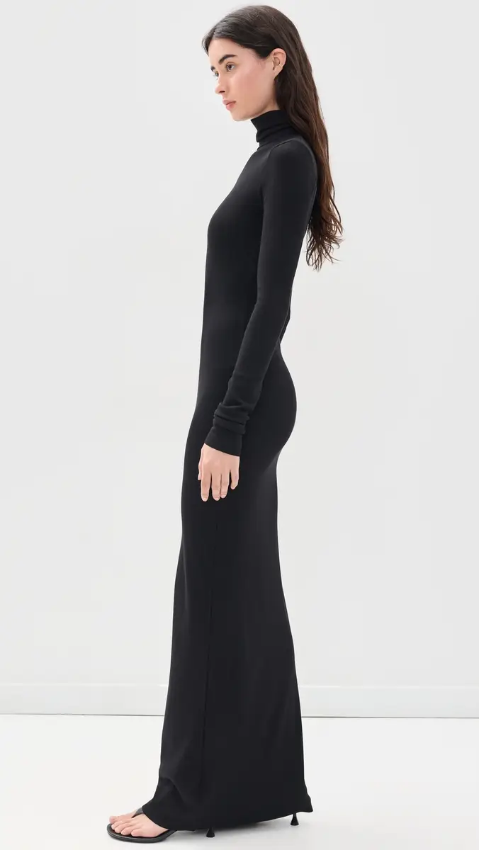 ÉTERNE Long Sleeve Turtleneck Maxi Dress | Thumbnail 4