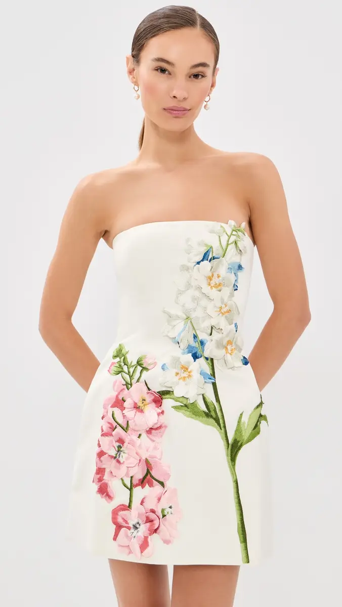 LEO LIN Roselle Embroidered Bustier Mini Dress | Thumbnail 2