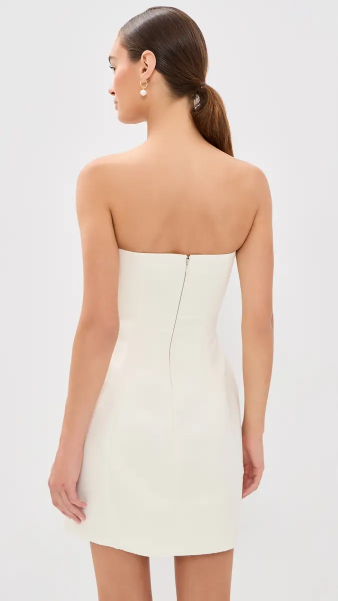 LEO LIN Roselle Embroidered Bustier Mini Dress | Thumbnail 3