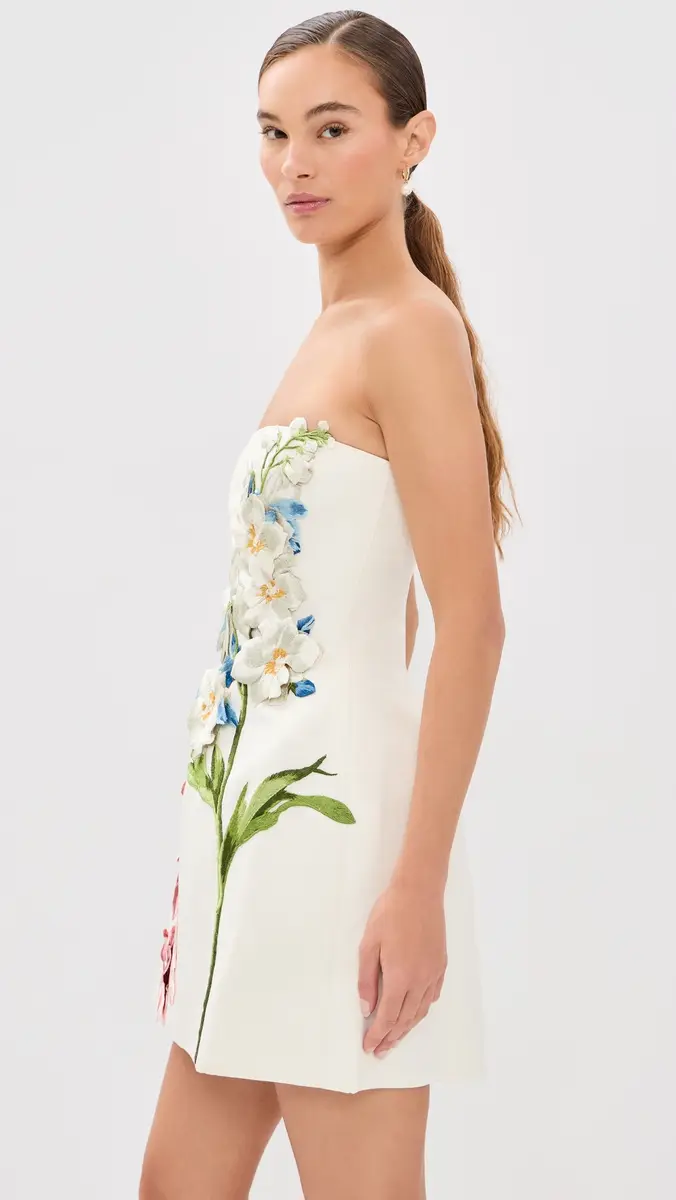 LEO LIN Roselle Embroidered Bustier Mini Dress | Thumbnail 4