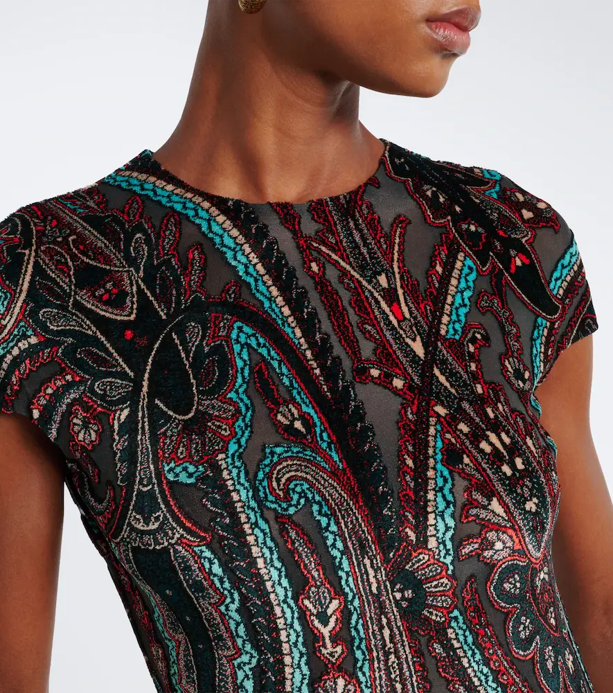 Etro Paisley velvet devoré gown | Thumbnail 4