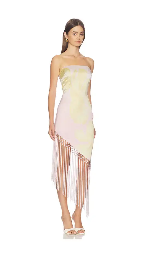Lovers and Friends Tory Midi Dress | Thumbnail 2