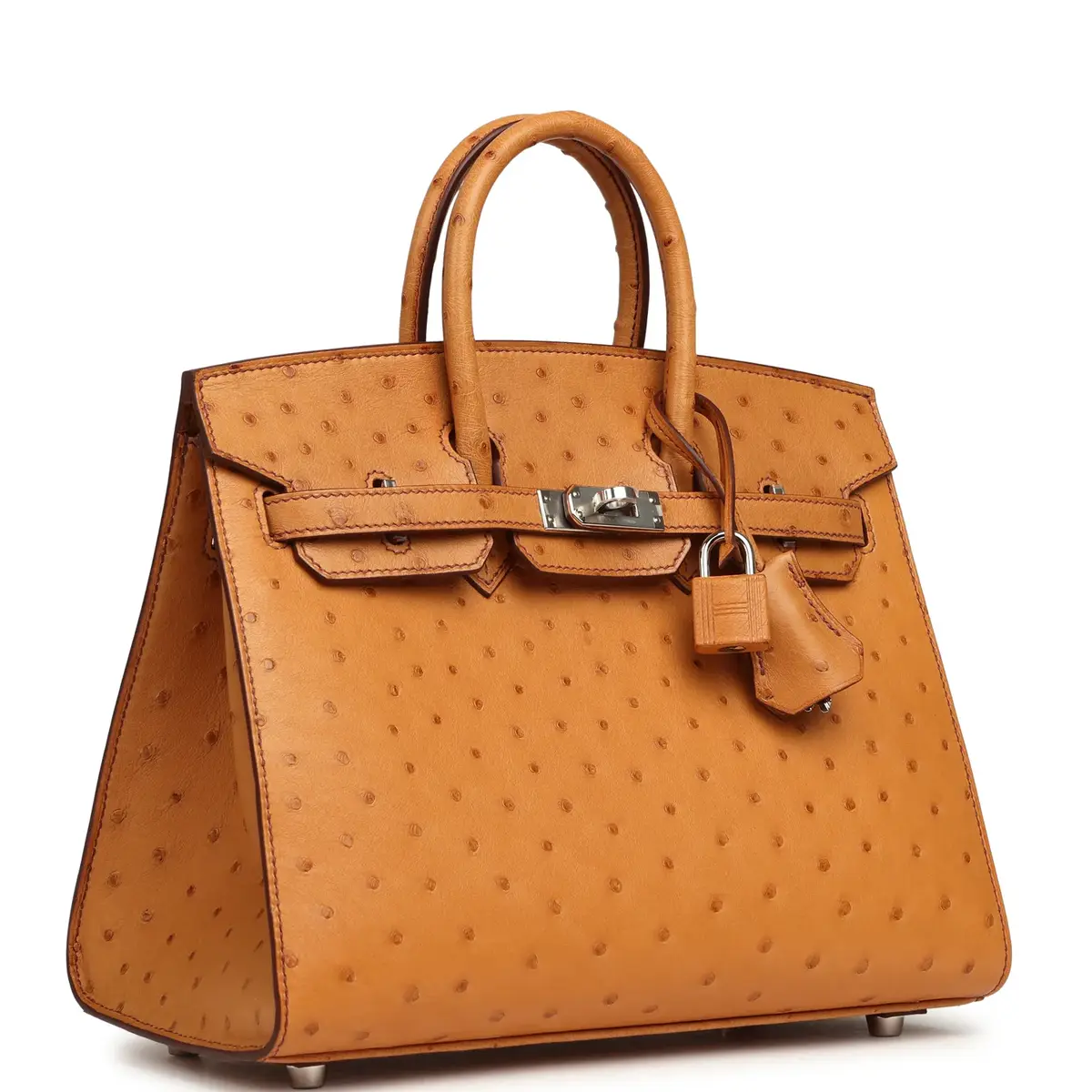 HERMÈS Hermes Birkin Sellier 25 Gold Ostrich Palladium Hardware | Thumbnail 2