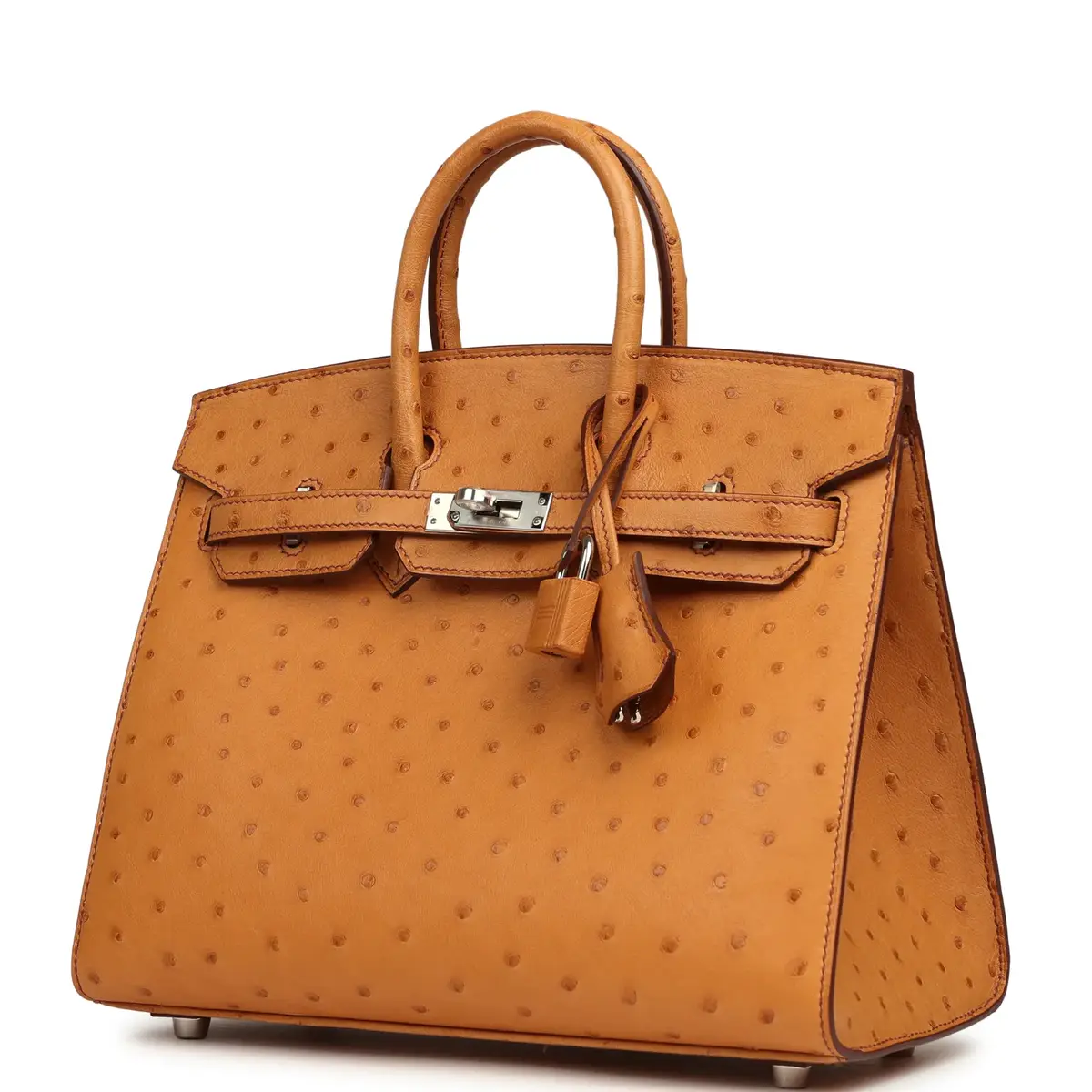 HERMÈS Hermes Birkin Sellier 25 Gold Ostrich Palladium Hardware | Thumbnail 5