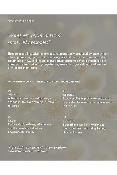 African Botanics Moisturizing Exosome Gel | Thumbnail 11 African Botanics Moisturizing Exosome Gel | Thumbnail 11
