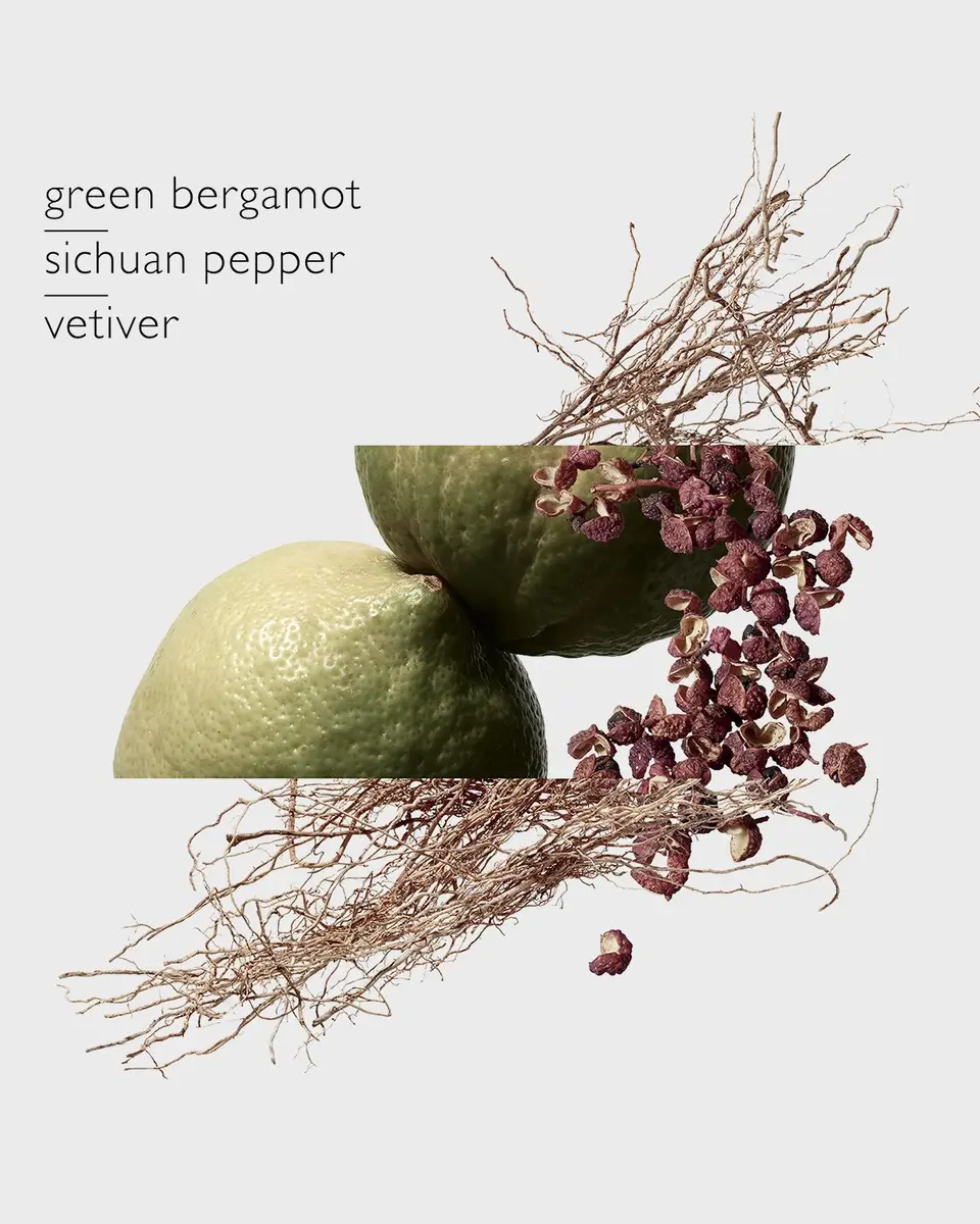 HERMÈS Terre d 'Hermes Eau Intense Vetiver, 6.8 oz. | Thumbnail 4 HERMÈS Terre d 'Hermes Eau Intense Vetiver, 6.8 oz. | Thumbnail 4