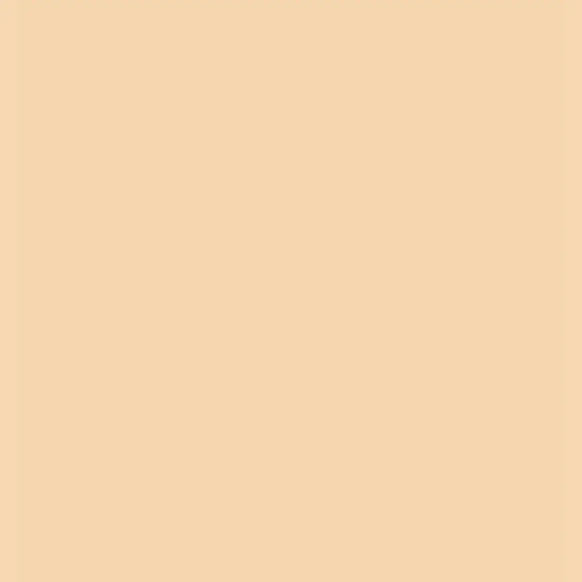 Claudio Riaz Couture Skin Foundation | Thumbnail 3 Claudio Riaz Couture Skin Foundation | Thumbnail 3