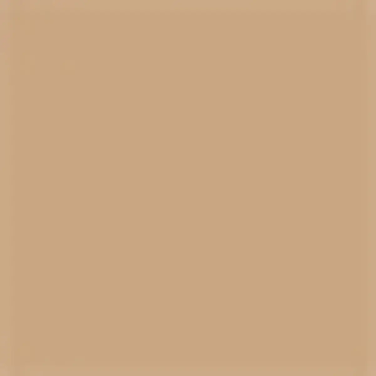 Claudio Riaz Couture Skin Foundation | Thumbnail 3