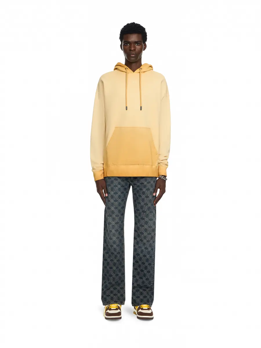 Off-White Swimming Face Skate Hoodie | Thumbnail 2