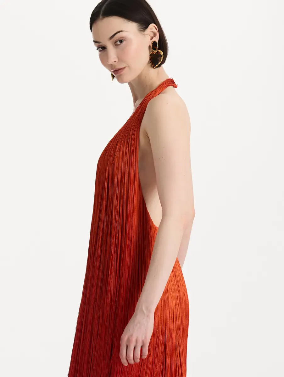 Oscar de la Renta Ombré Fringe Gown | Thumbnail 5