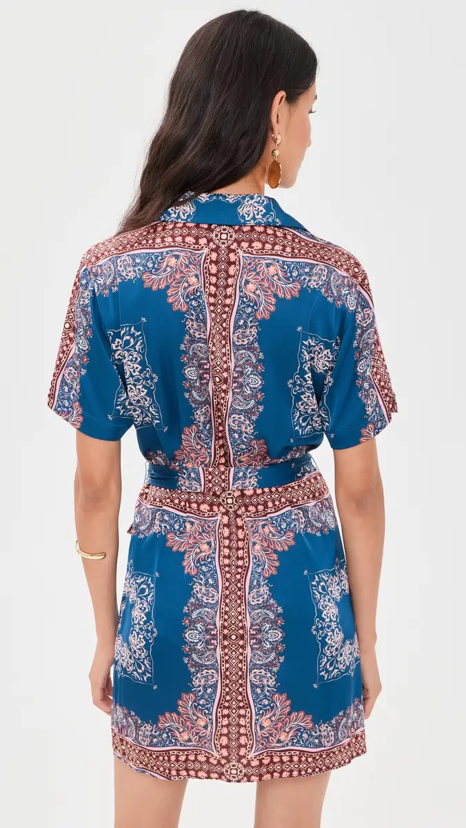 Misa Holland Bandana Dress | Thumbnail 3