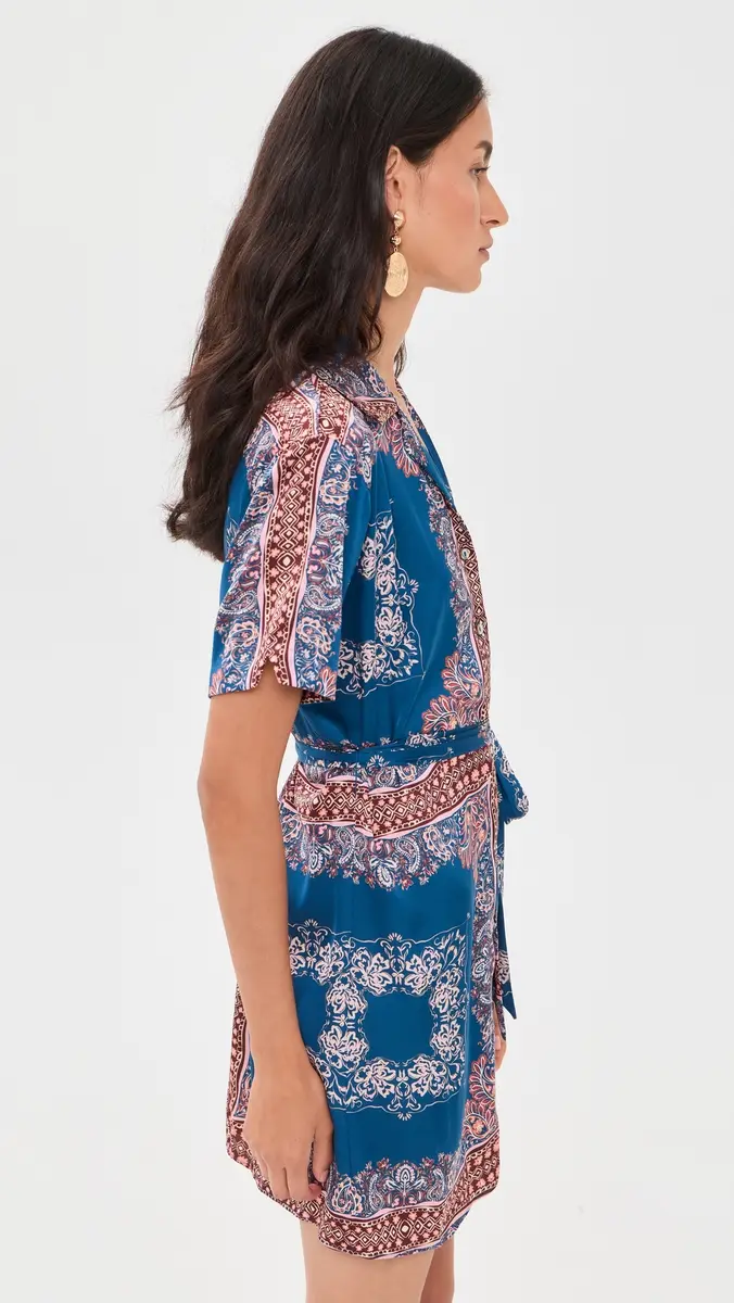 Misa Holland Bandana Dress | Thumbnail 4