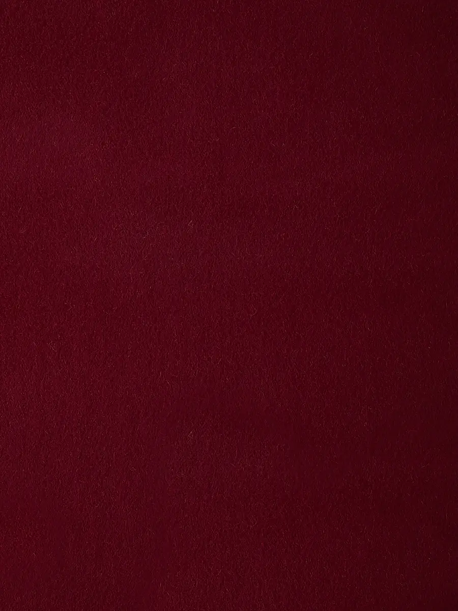 Sofia Cashmere Fringed Cashmere Throw Blanket | Thumbnail 3