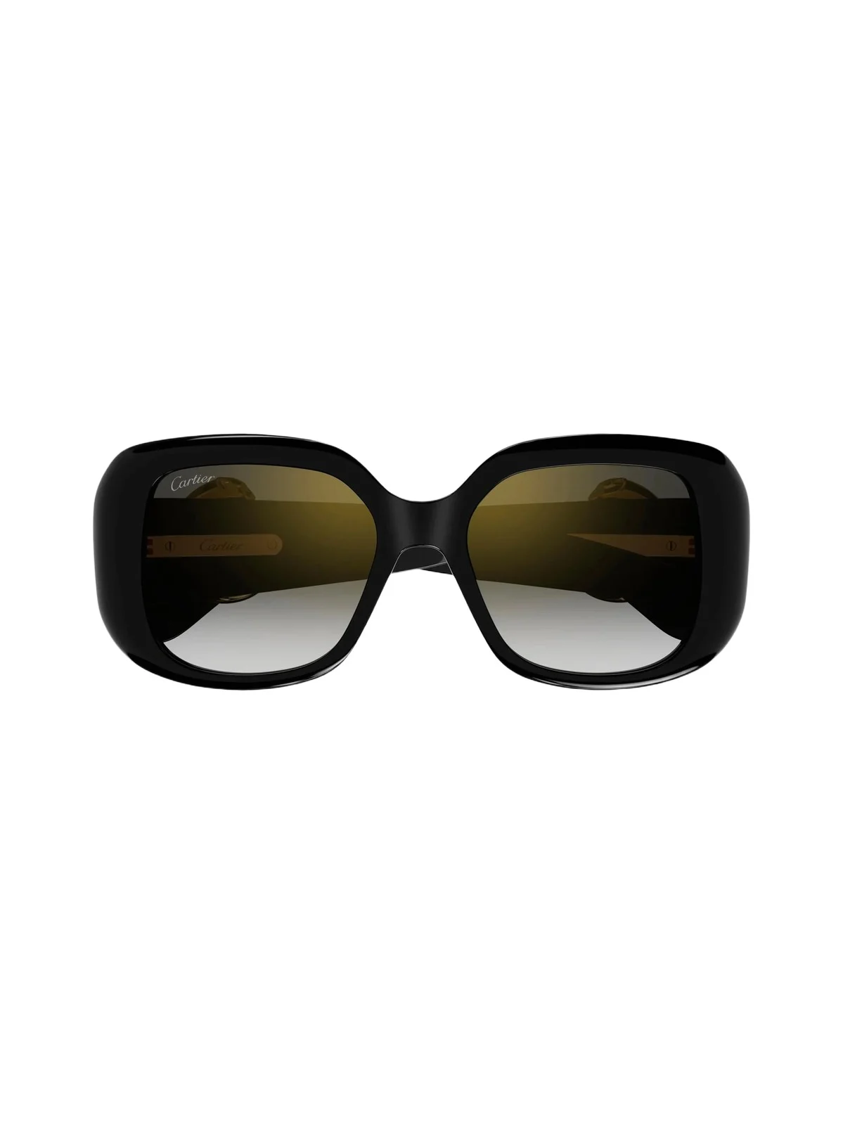 Cartier Women's 54MM Acetate Square Sunglasses