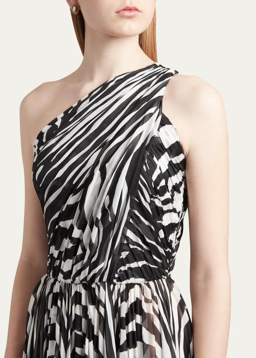 Dolce & Gabbana Zebra-Print One-Shoulder Silk Chiffon Gown | Thumbnail 4 Dolce & Gabbana Zebra-Print One-Shoulder Silk Chiffon Gown | Thumbnail 4