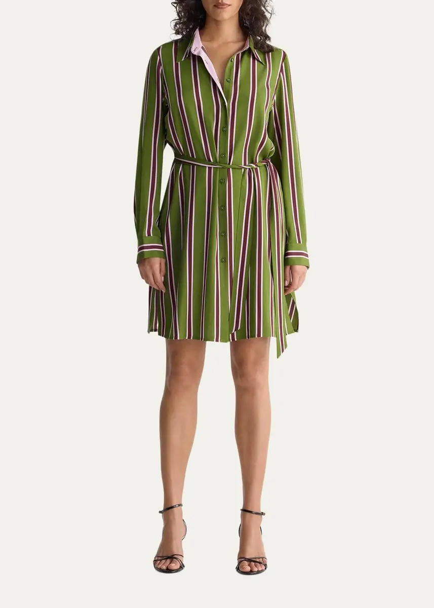 Diane von Furstenberg Elle Striped Stretch Georgette Mini Shirtdress | Thumbnail 2 Diane von Furstenberg Elle Striped Stretch Georgette Mini Shirtdress | Thumbnail 2