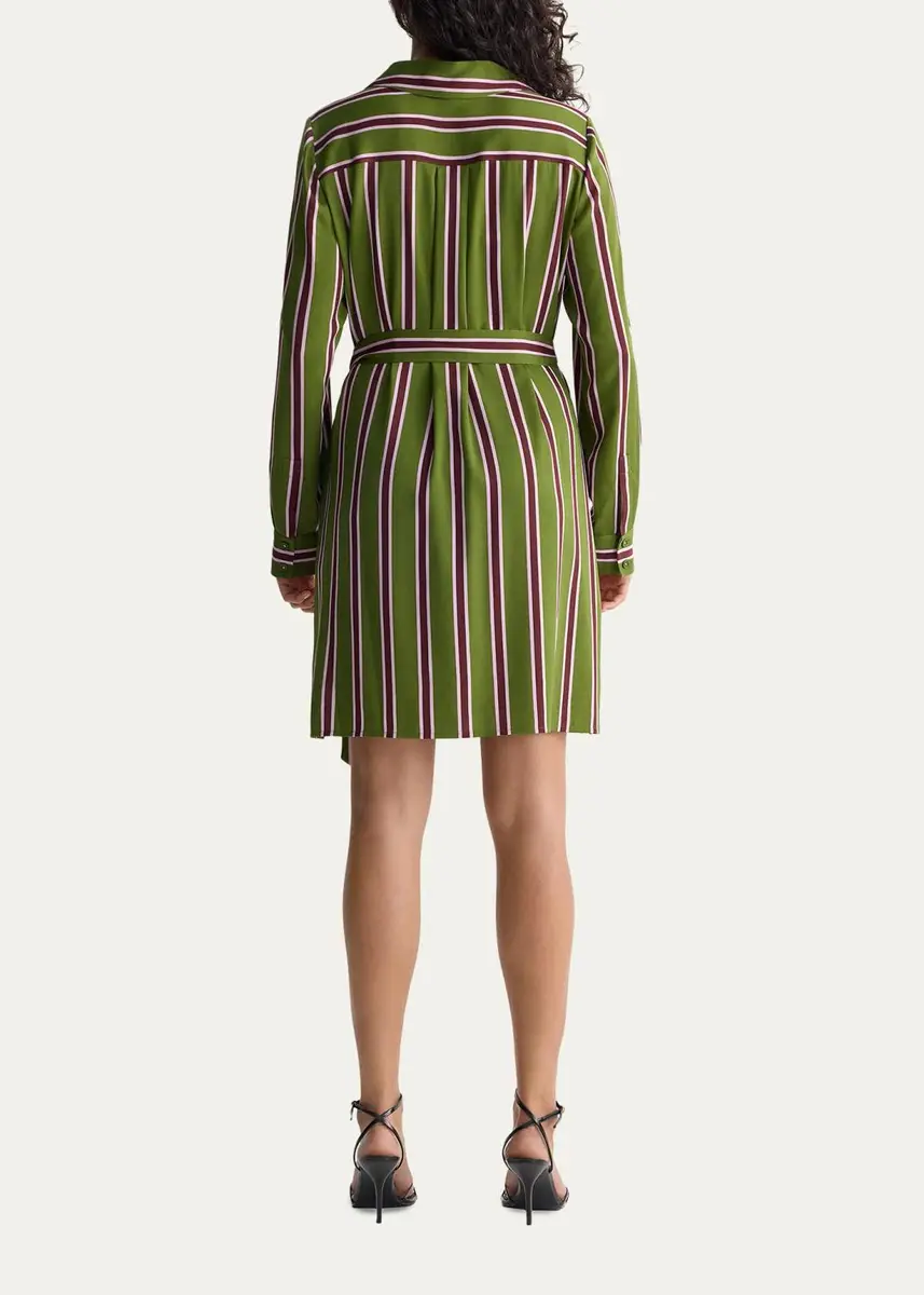 Diane von Furstenberg Elle Striped Stretch Georgette Mini Shirtdress | Thumbnail 3 Diane von Furstenberg Elle Striped Stretch Georgette Mini Shirtdress | Thumbnail 3