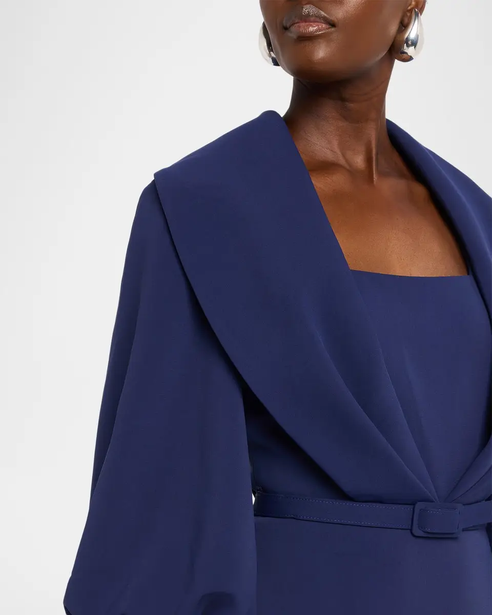 BADGLEY MISCHKA Draped Shawl-Collar Column Gown | Thumbnail 5 BADGLEY MISCHKA Draped Shawl-Collar Column Gown | Thumbnail 5